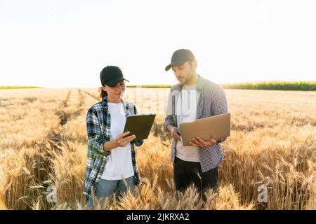 Einige Bauern untersuchen den Getreidebereich und senden Daten vom digitalen Tablet und Laptop in die Cloud. Intelligente Landwirtschaft Stockfoto