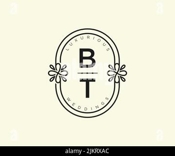 BT Initials Letter Hochzeitsmonogramm Logos Vorlage, handgezeichnete moderne minimalistische und florale Vorlagen für Einladungskarten, Save the Date, elegant Stock Vektor