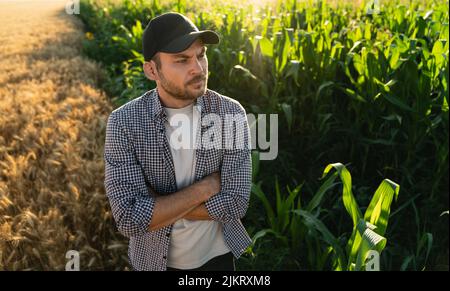 Bärtiger Bauer in einer Mütze und einem karierten Hemd vor dem Hintergrund eines Maisfeldes Stockfoto