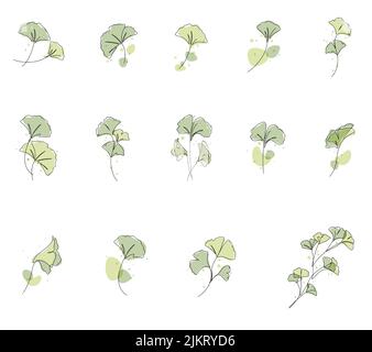 Eine Linie Zeichnung von Ginkgo Blatt Vektor-Set-Illustration. Aquarell Linie Kunst und Boho-Stil. Stock Vektor