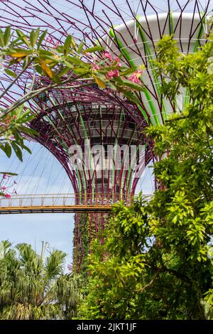 Nahaufnahme der vertikalen Ansicht des Supertrees-Hain-Designs in Gardens by the Bay. 2022 Stockfoto