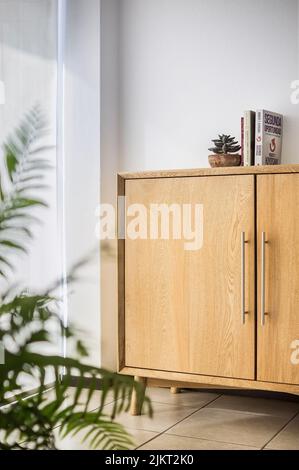 Stilvoller und moderner Luxus-Holzlagerbüffetschrank für Innenräume Möbel in isoliertem Hintergrund, zweitürige Kredenz mit Büchern oben in Stockfoto