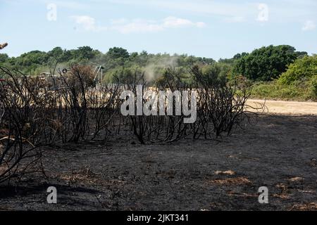 Nach dem Brand Pennington gemeinsame Dürre Juli 2022 Stockfoto