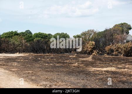 Nach dem Brand Pennington gemeinsame Dürre Juli 2022 Stockfoto