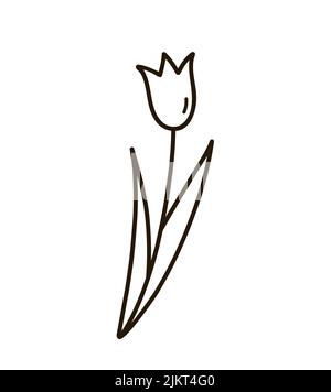 Niedliche Doodle Tulpe mit Blättern isoliert auf weißem Hintergrund. Handgezeichnete Vektorgrafik. Perfekt für Karten, Logo, Dekorationen Stock Vektor