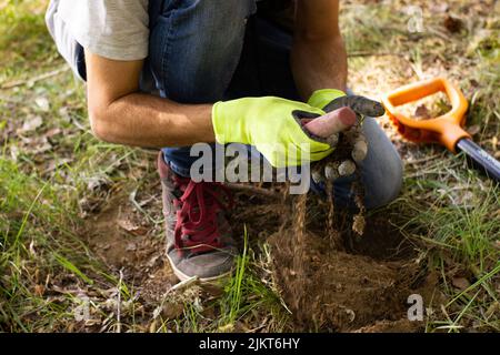 Ein Mann in Handschuhen sucht mit Hilfe eines Nadelpointers im Frühlingswald nach einem Schatz im Boden. Schaufel davor Stockfoto