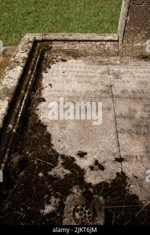 Außenansicht von St. Crewenna (KIRCHE VON SAINT CREWEN), Crowan, Cornwall Stockfoto