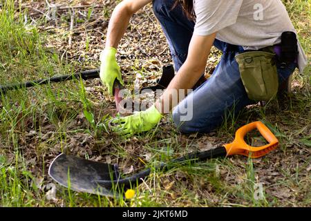 Ein Mann in Handschuhen sucht mit Hilfe eines Nadelpointers im Frühlingswald nach einem Schatz im Boden. Schaufel davor Stockfoto
