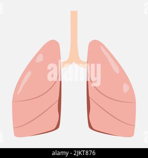 Ikone der menschlichen inneren Organe. Stock Vektor