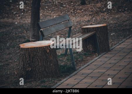 Eine schöne Aufnahme einer Holzbank zwischen zwei Baumstümpfen im Park mit gefliestem Boden Stockfoto