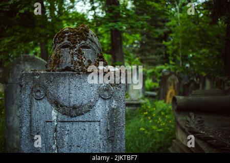 Nahaufnahme eines Grabsteines auf einem alten jüdischen Friedhof während des Tages in Breslau, Polen Stockfoto