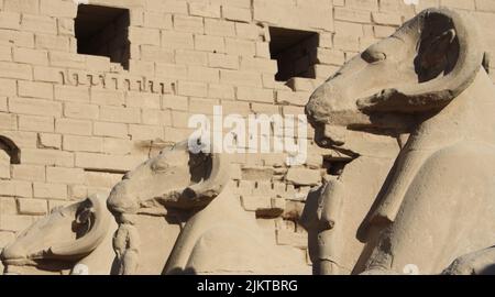 RAM-KOPFIGE STATUEN IM KARNAK-TEMPEL Stockfoto