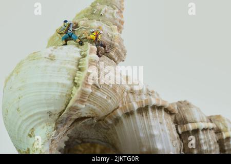 Nahaufnahme von zwei Bergsteigern auf einer riesigen Schneckenschale, weißer Hintergrund, Stockfoto
