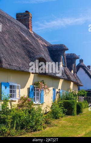 Großbritannien, England, Cambridgeshire, Barrington, traditionelles Reethaus Stockfoto