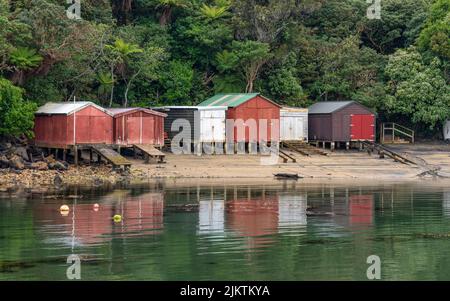 Die Stewart Island Fähre nach Ulva Island, Neuseeland, Department of Conservation Stockfoto