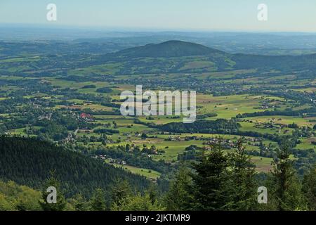 Eine schöne Landschaft von grünen Wäldern auf den grünen Hügeln am Morgen Stockfoto