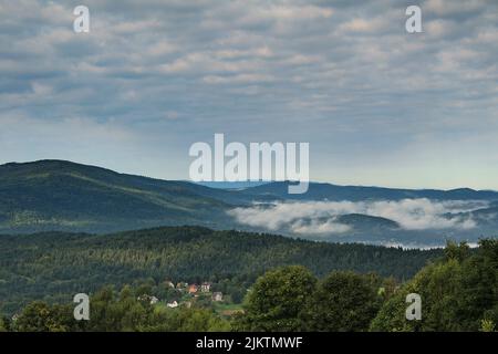 Eine schöne Landschaft von grünen dichten Wäldern auf den Hügeln an einem bewölkten Tag Stockfoto