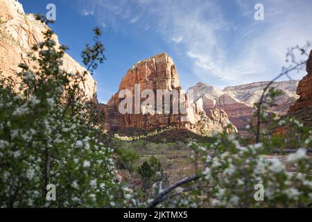 Eine schöne Aufnahme eines schönen großen Berges und eines Grünfeldes vorne am Tag Stockfoto