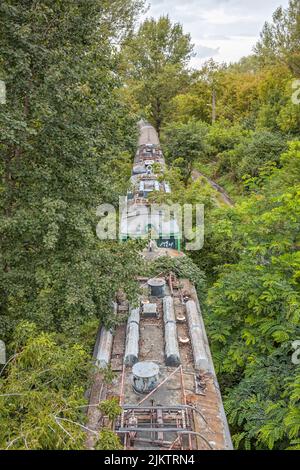 Ein alter Zug überwuchert in einem Wald Stockfoto