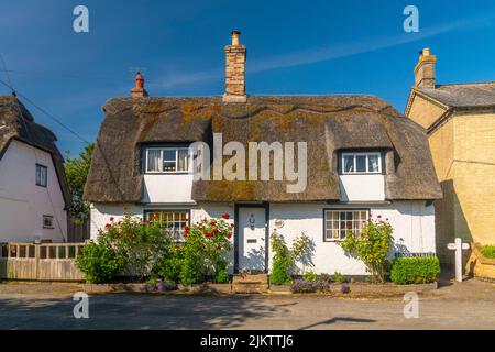 Großbritannien, England, Cambridgeshire, Elsworth, traditionelles Reethaus Stockfoto