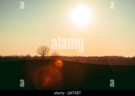 Eine wunderschöne Landschaft mit Hügel und Bäumen Silhouetten und der strahlenden Sonne am Himmel Stockfoto