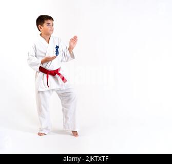Karate Junge in suto mawashi Uke Position auf weißem Hintergrund. Mit dem Wort kyokushinkai im Hintergrund. Was bedeutet: Die letzte Wahrheit verbunden. Stockfoto