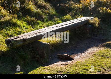 Eine schöne Aufnahme einer alten Holzbank im Park, umgeben von Gras und grünen Pflanzen in hellem Sonnenlicht Stockfoto