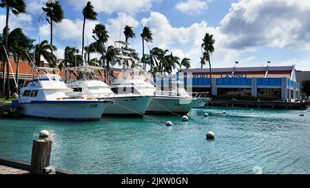 Lokale weiße Charterboote, die vor dem Seaport Casino im Oranjestad Harbour, Aruba, Karibisches Meer mit über den Palmen schaukelnden Palmen festgemacht sind. Stockfoto