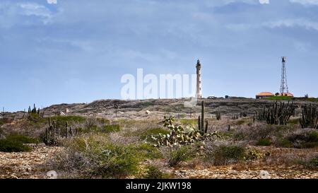 Fernansicht des berühmten kalifornischen Leuchtturms auf der Insel Aruba auf einem Hügel mit Wüste, Sträuchern und Kakteen im Vordergrund. Stockfoto
