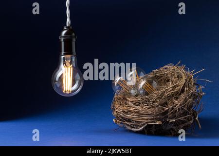 Die LED-Lampe an erwärmt drei kleine Glühbirnen in einem Vogelnest auf schwarzem und blauem Hintergrund Stockfoto
