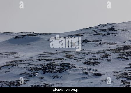 Der Blick auf die verschneite Landschaft in Hemsedal, Norwegen. Stockfoto