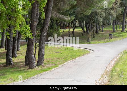 Ein Baum und ein Steinpfad im Bela Vista Park in Lissabon Stockfoto