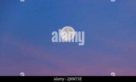 Ein schöner Blick auf den Vollmond in der Dämmerung gegen rosafarbene Wolken Stockfoto