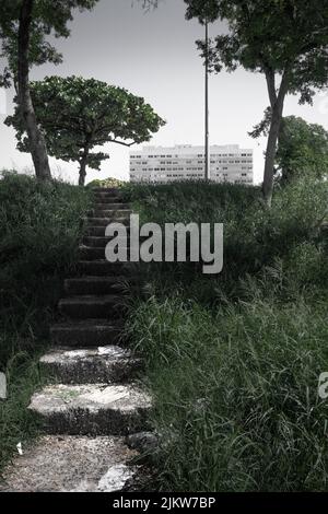 Eine schöne Aufnahme von Treppen in einem Park in Rio de Janeiro in Brasilien Stockfoto
