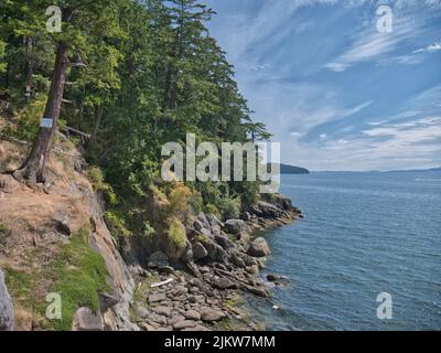 Ein natürlicher Blick auf die Küste des Skagit County über die Bucht im Sommer Stockfoto