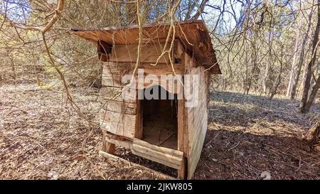 Gut gemachte Doghouse fotografiert am verlassenen alten Haus. Ich konnte die Liebe zwischen dem Hundemeister und dem Hund spüren, als ich mich davor kauerte. Stockfoto