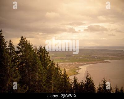 Eine Luftaufnahme des Sammamish Lake und der Stadt Bellevue in Washington, USA Stockfoto