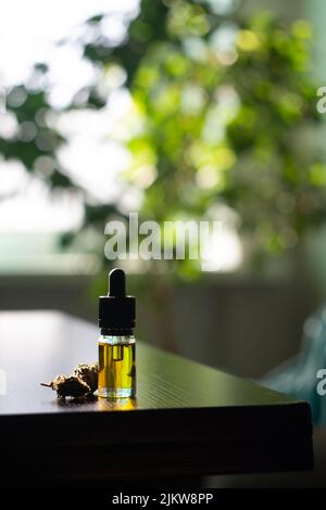 Marihuana cbd-Öl steht auf einem dunklen Holztisch neben zwei trockenen Cannabisknospen. Im Hintergrund befindet sich ein Ficus und ein Zuhause in Unschärfe Stockfoto