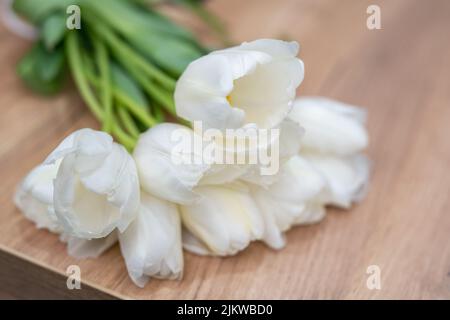 Von oben Schuss von weißen zarten Tulpen, die auf rosa Oberfläche liegen. Stockfoto