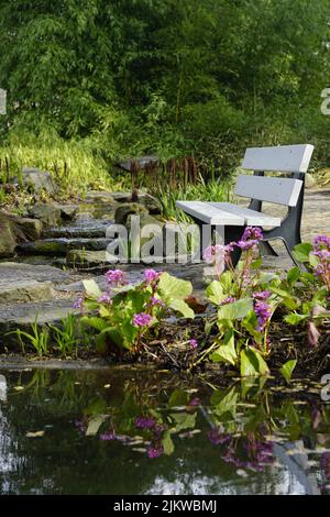 Eine vertikale Aufnahme des Westfalenparks, Dortmund, Nordrhein-Westfalen Stockfoto