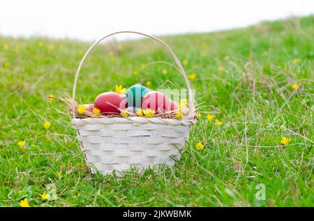 Ostereierkorb auf grünem Gras an sonnigen Tagen. Ostereier auf der Wiese im Frühling. Stock-Bild Stockfoto