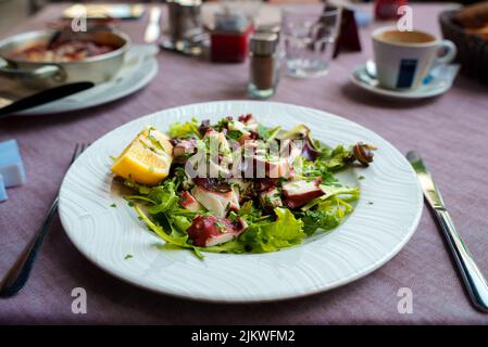 Traditioneller Salat mit Oktopus und Kräutern. Stockfoto