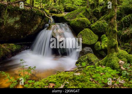 Ein kleiner Wasserfall, der inmitten eines Waldes fließt, umgeben von moosbewachsenen Felsen.