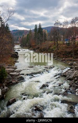 Der Blick auf den flachen Fluss Prut in Yaremche Prykarpattia Ukraine Stockfoto