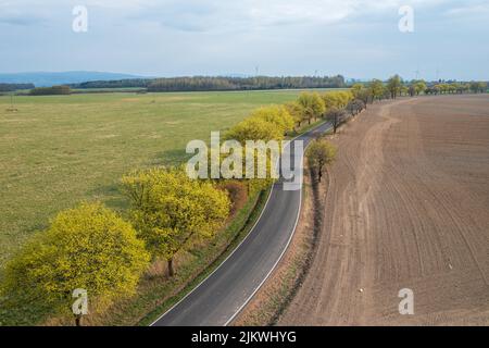 Luftaufnahme auf einer Straße zwischen Feldern mit Bäumen entlang im Frühjahr Stockfoto