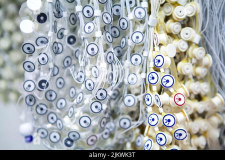 Untersuchung der Aktivität von Neuronen im Gehirn durch Elektroenzcephorographie. Stockfoto