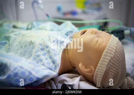 Kontinuierliche Schulung von Hebammen und Geburtshelfern zur Reanimation im Geburtsraum mit einer Schaufensterpuppe. Stockfoto