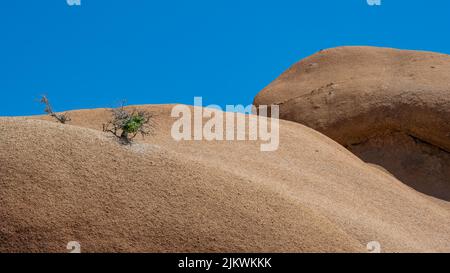 Namibia, Landschaft im Damaraland, mit Bäumen, die auf großen Felsen wachsen Stockfoto