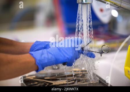 Vor der Sterilisation von chirurgischen Geräten werden chirurgische Instrumente von Hand gewaschen. Stockfoto