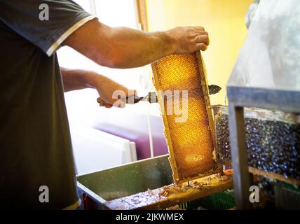 Honig von einem Imker in Frankreich ernten. Stockfoto